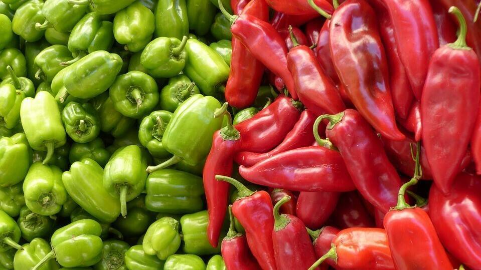 paprika-65270_960_720|Acolchado Biodegradable|ensayos ITG acolchados|Acolchados Bio